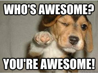 Who is awesome?
